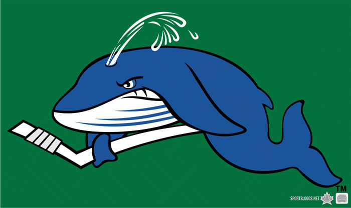 Connecticut Whale 2010-2013 Secondary Logo iron on transfers for clothing
